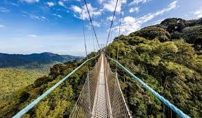 Suspension bridge stretching across a forested valley with mountains in the distance under a blue sky